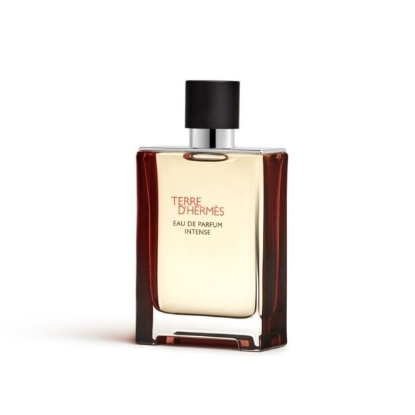 Terre d’Hermès Men Perfume 100ML (Without Box)